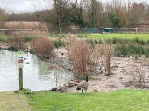 Wetlands Arundel