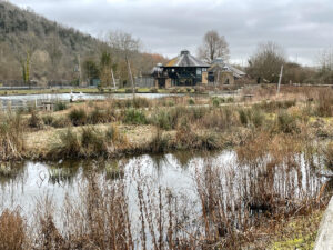 Wetlands Arundel