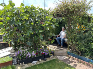 Our back garden
