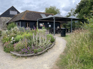 A trip to Pulborough Brooks