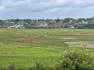 Pulborough Brooks view