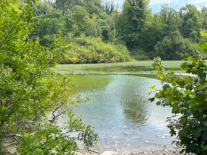 Swanbourne Lake Arundel